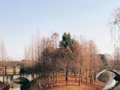 -尚贤河湿地