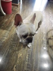 点击看大图 -IDEA·艾蒂尔科技美肤·日式美甲美睫集合店