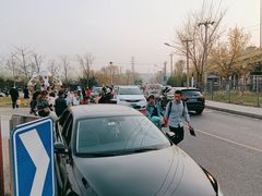 -永定河休闲森林公园