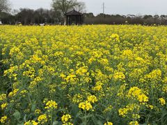 -武汉紫薇都市田园