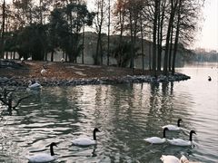-上海野生动物园