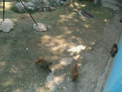 -西安秦岭野生动物园