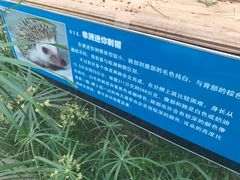 -白洋淀景区