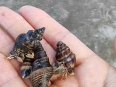 -嵊泗基湖沙滩
