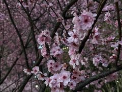 -龙湖杭州滨江天街