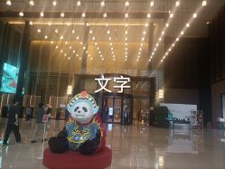 -成都首座万豪酒店·宴会厅