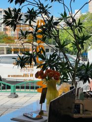 点击看大图 -WENDY·温迪皮肤管理