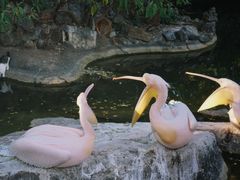 -昆明动物园