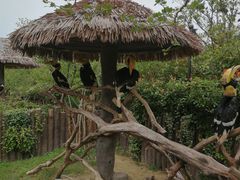 -野生动物园-停车场