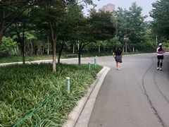 -青枫公园