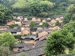 -杨家堂村