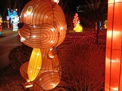 -南宫五洲植物乐园