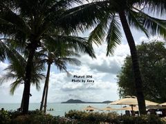 -椰树岛海滩度假村