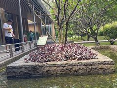 -南宁荔园维景国际酒店·荔园中餐厅