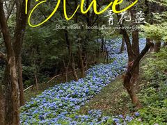 -临平公园(临平街道)