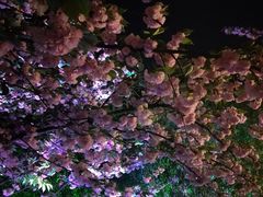 -苏州河梦清园环保主题公园