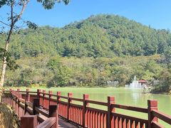 -广州白江湖森林公园