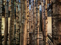 -Metal hands·铁手咖啡