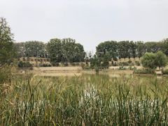 -河南省黄河迎宾馆