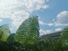 -昆明洲际酒店