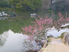 -杭州植物园