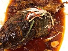-津菜宋记老房子(鼓楼店)