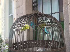 -栈桥王子饭店-风味餐厅