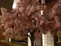 -汤泉良子.足疗按摩.SPA(中关村店)