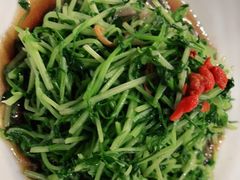 松茸豆苗-丰收日(五角场店)