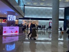 -DIOR迪奥(德基广场女装店)