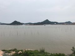 景点-花竹村