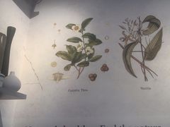 -Buonissimo(佛罗伦萨小镇店)