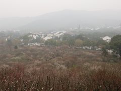 -香雪海