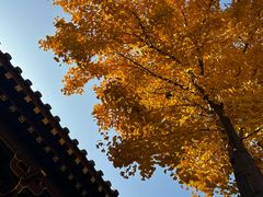 -四门塔风景区