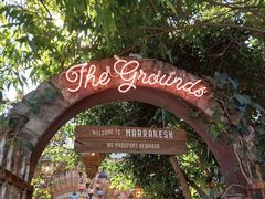 -The Grounds of Alexandria