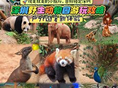 -深圳野生动物园