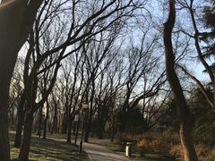 -玲珑塔公园