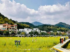 -红山村