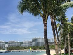 -半山半岛洲际度假酒店·观海廊