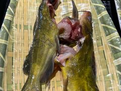 -铭记蛙小仙·活蛙畅享(CBD万达广场店)