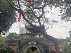 -荔湾湖公园