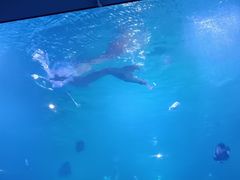 -福州罗源湾海洋世界旅游区