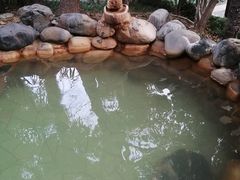-张家港金凤凰度假村温泉