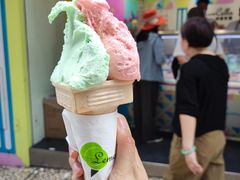 -柠檬车露(卖草地店)