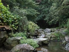 -安吉龙王山风景区