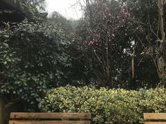 -旅马餐厅(茅家埠店)