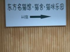 -东方名猫馆·英短金渐层布偶猫舍(环线广场1号楼店)