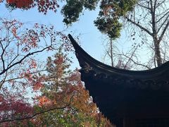 -秋霞圃