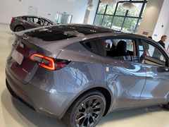 -TESLA 特斯拉(深圳观澜特斯拉直营钣喷中心)