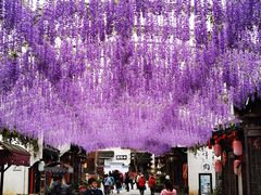 -婺源梦里老家大型山水实景演出